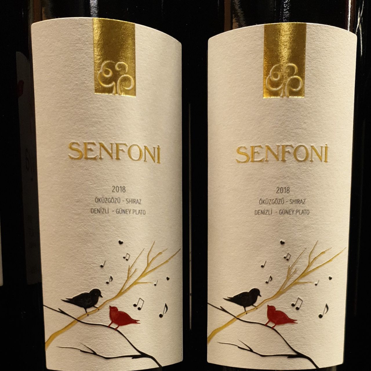 Senfoni Öküzgözü-Shiraz